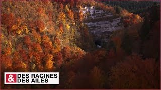 Source de la Loue : une rivière au goût d'absinthe !
