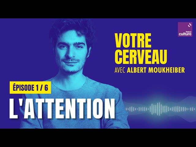 Votre cerveau filtre l'info : la force de l'attention