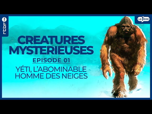 Yéti : l'histoire de l'abominable homme des neiges