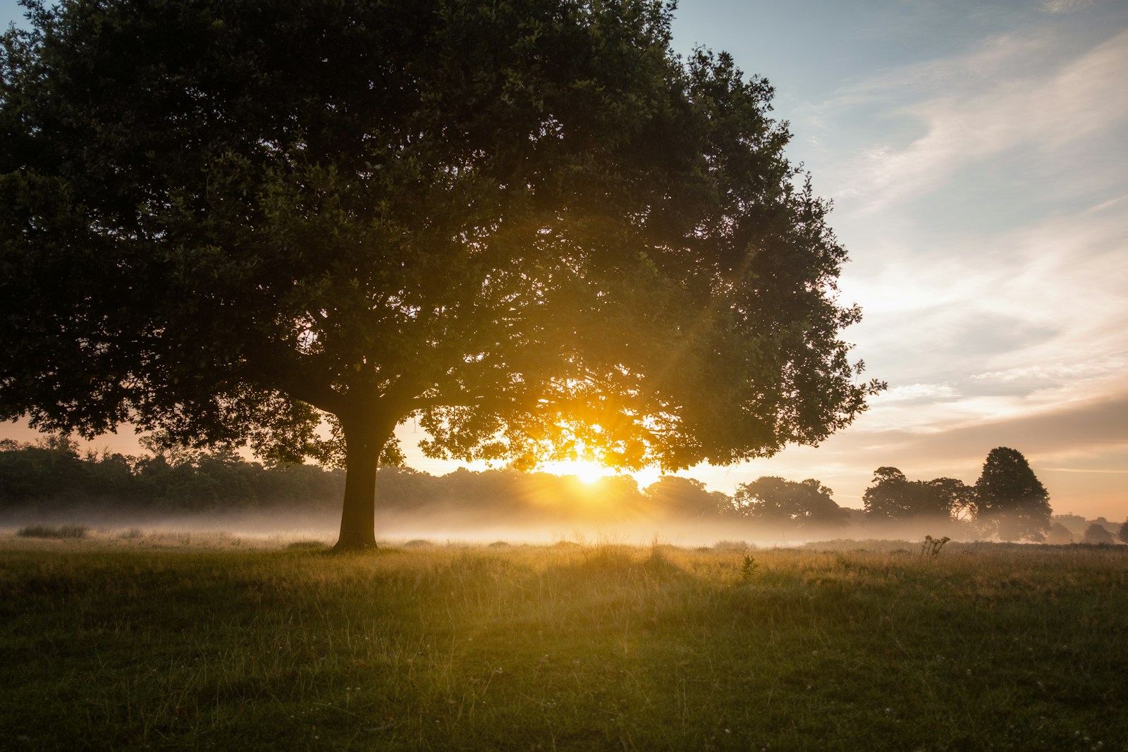 Aube, aurore et crépuscule : comprendre les nuances des lumières du ciel