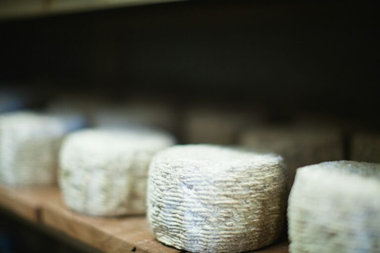 Article | Les vertus du fromage de chèvre