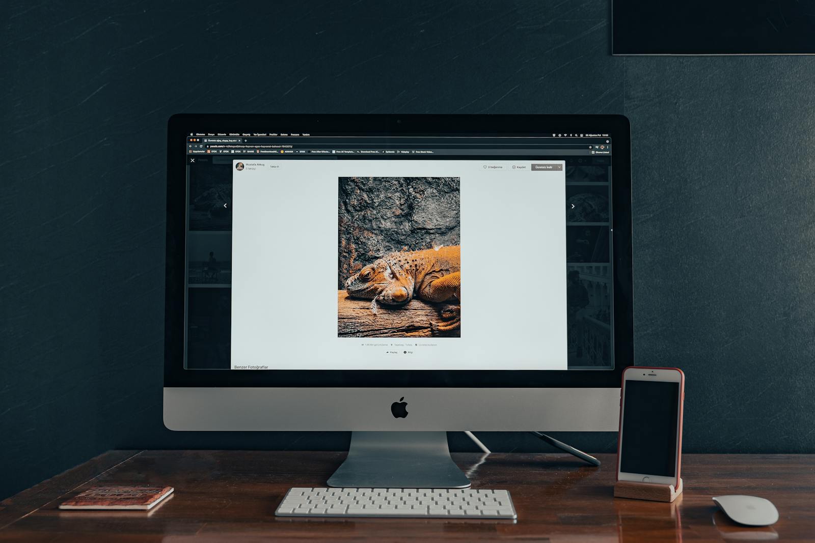 Les 10 meilleurs logiciels de retouche photo gratuits