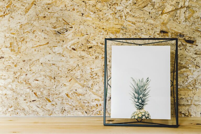 Article | Photo encadrée : l’accessoire déco intemporel