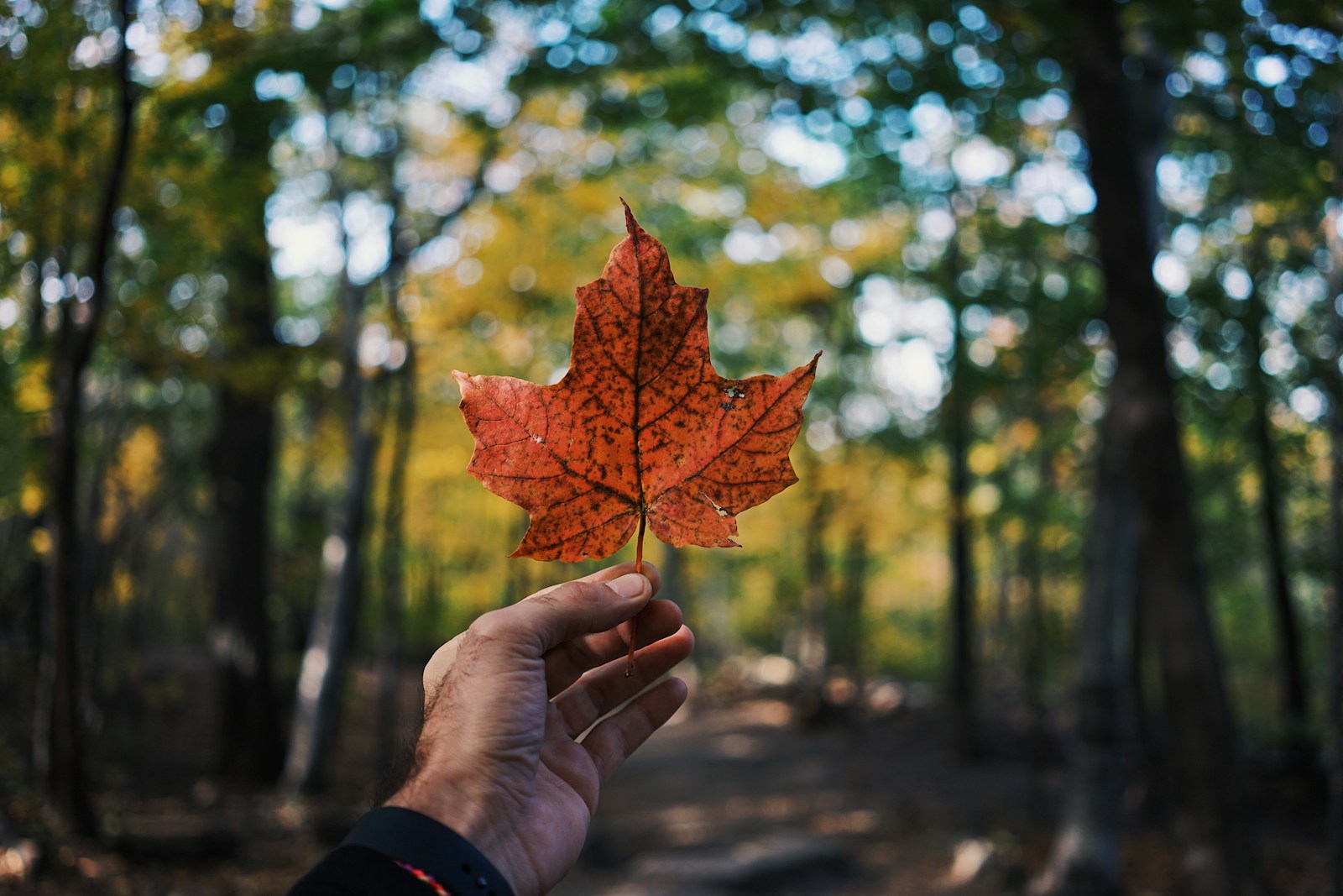 Quelles destinations choisir en octobre ?