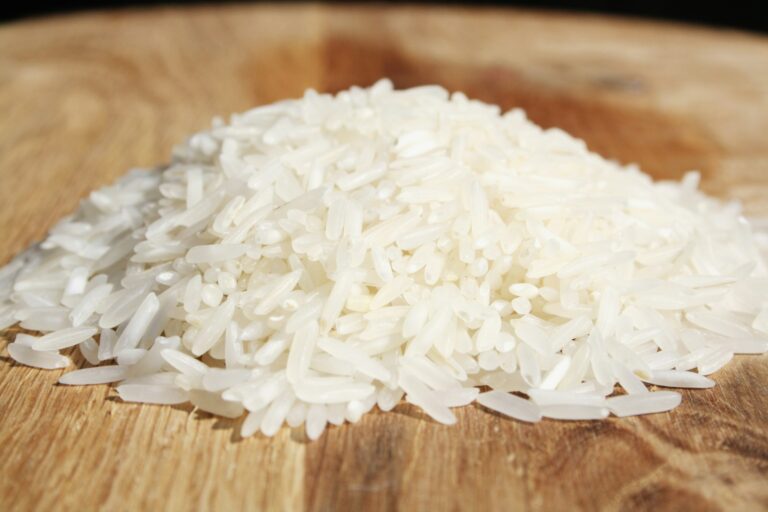 Article | Riz ou pâtes : quel choix privilégier ?