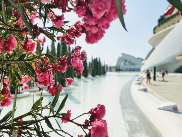 Article | Valence : un joyau espagnol entre histoire, modernité et nature