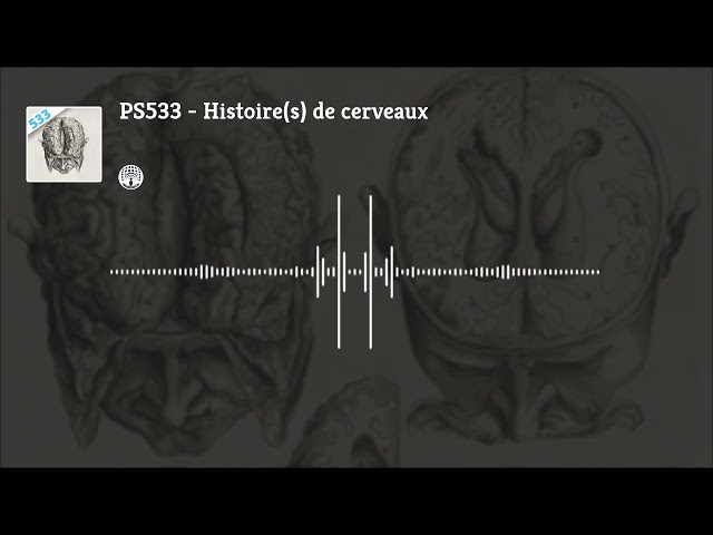 Histoire(s) de cerveaux