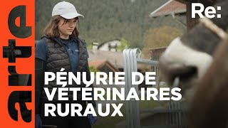 Agriculteur cherche vétérinaire