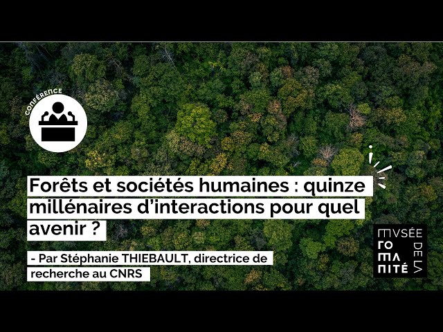 Forêts et sociétés humaines : quinze millénaires d’interactions pour quel avenir ?