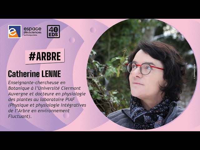 Quand les forêts murmurent