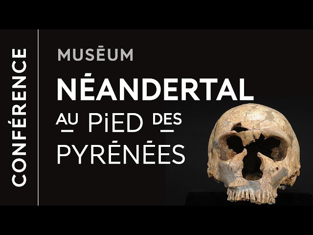 L'Homme de Néandertal au pied des Pyrénées