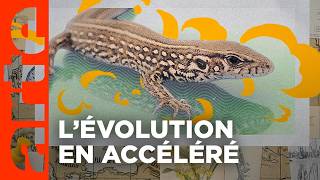 Darwin express - Les nouveaux défis de l'évolution