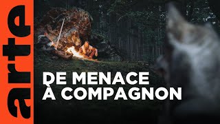 Histoire de la domestication (1/2) - Des origines au Moyen Âge