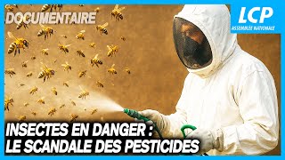 Insecticide : comment l’agrochimie a tué les insectes