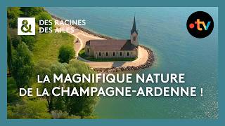 La magnifique nature de la Champagne-Ardenne !