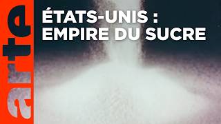 Le sucre, pour la douceur et pour le pire (2/2)