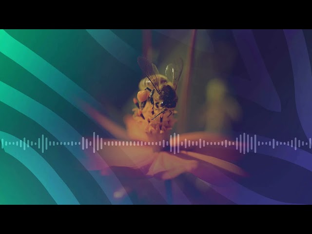 Les pesticides ou la vie ?