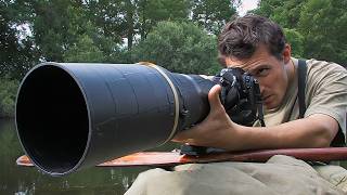 Photographe animalier : au plus près des bêtes sauvages !