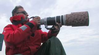 Photographes animaliers : les secrets du métier !