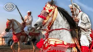 Qu’est-ce qui rend les cavaliers Zayanes uniques au monde ?