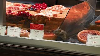 Rats : nos pires ennemis ou nos meilleurs alliés ?