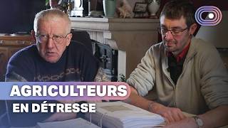 Sous pression : ces agriculteurs au bord du gouffre