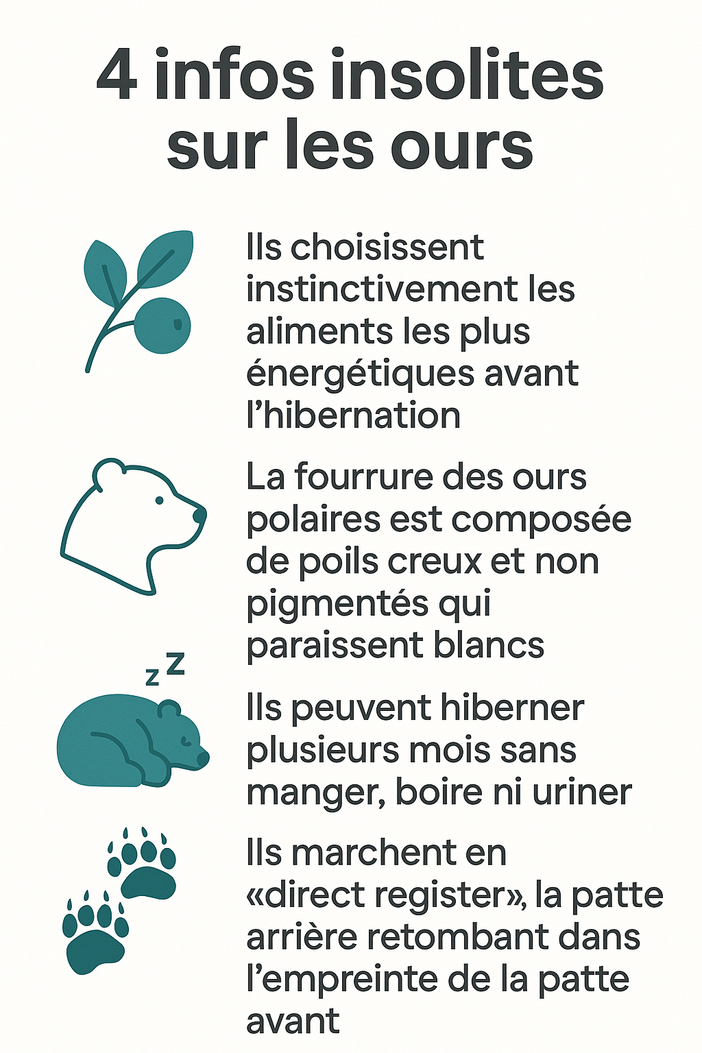 4 infos insolites sur les ours
