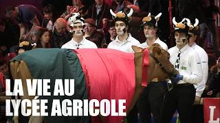 Au cœur du lycée qui forme nos agriculteurs