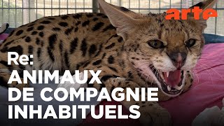 Cohabiter avec des animaux sauvages