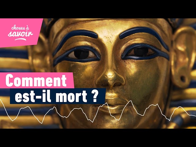 Comment Toutankhâmon est-il mort ?