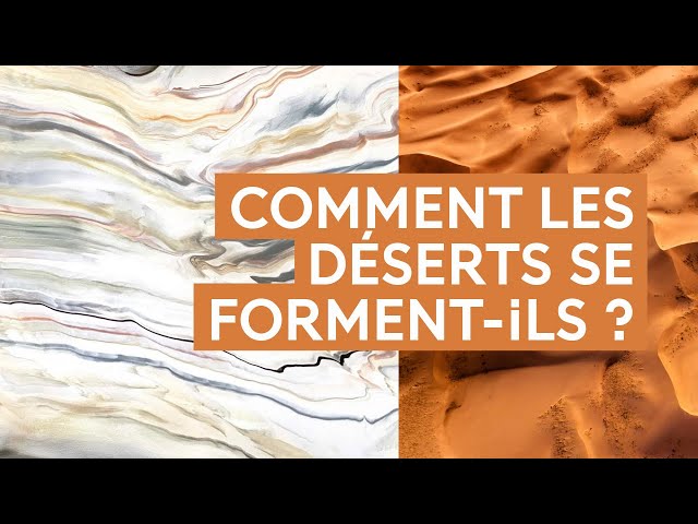 Art-science : penser le hasard et la contrainte