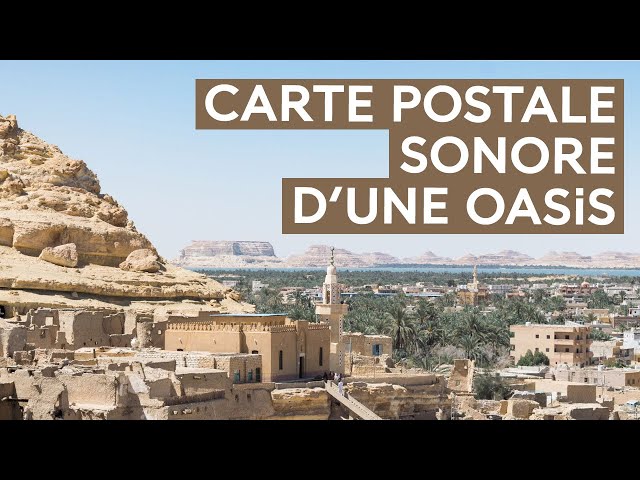 Comment le Sahara sonne-t-il depuis une oasis ?