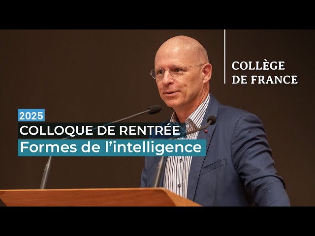 Comment le cerveau humain se compare-t-il aux intelligences artificielles actuelles ?