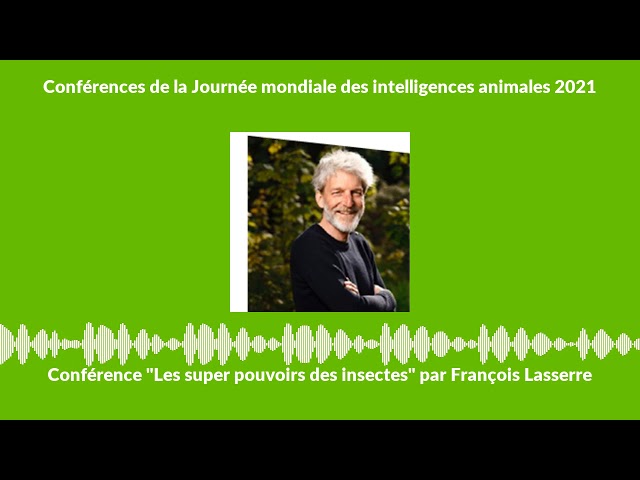 Les super pouvoirs des insectes