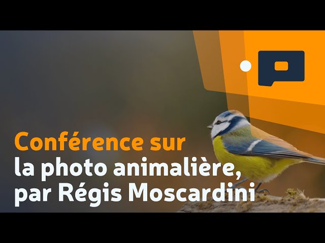 La photo animalière