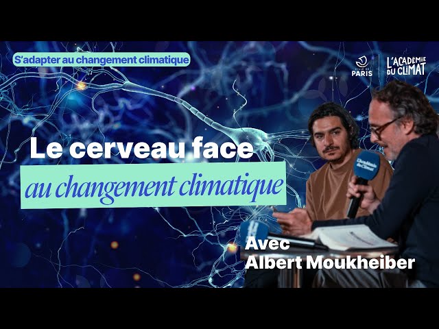 Le cerveau humain, un obstacle à l’écologie ?