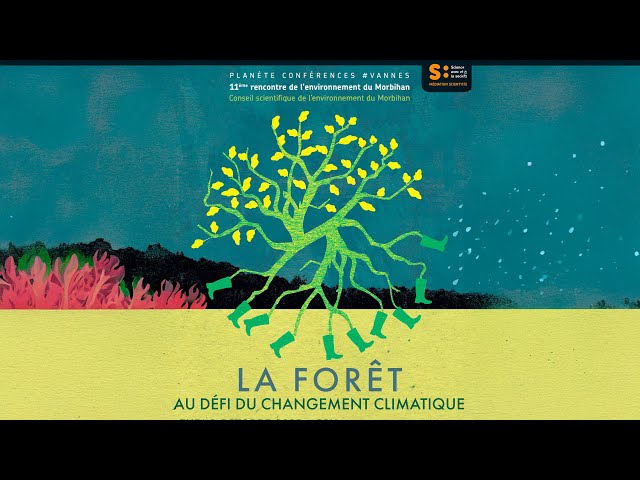 La forêt au défi du changement climatique