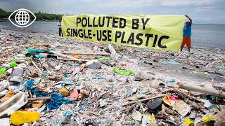 Costa Rica : sauver la nature avant qu’il ne soit trop tard