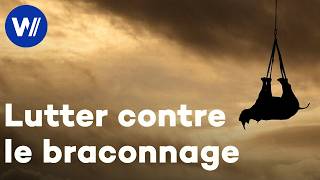 En Afrique, contre les braconniers, la bataille se joue dans le ciel