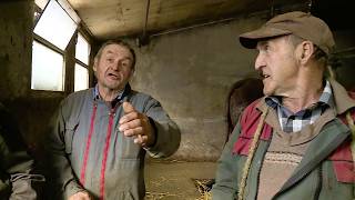 Je me suis levé à 4h45 toute ma vie… pour ça !!