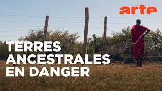 Kenya, la résistance des Massaï - Un jeune chef pour un grand défi