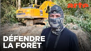 L’Amazonie, mort imminente