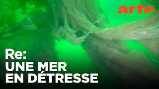 La mer de Marmara au bord de l’asphyxie ?