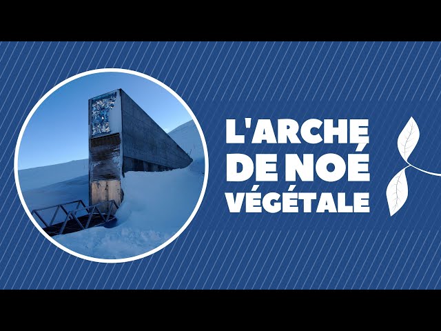 La réserve mondiale de semences du Svalbard