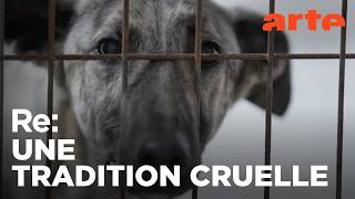 Le martyre des lévriers espagnols