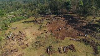 Les mégalithes phalliques d'Ethiopie