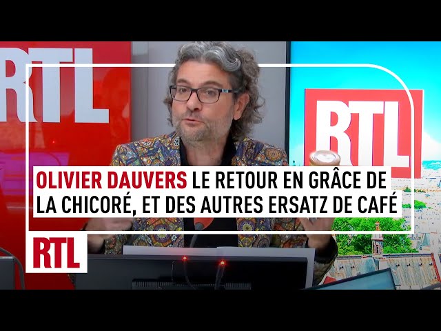 Le retour en grâce de la chicoré, et des autres ersatz de café