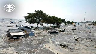 Quand la terre gronde : entre tsunamis et séismes, quel avenir pour l'humanité ?