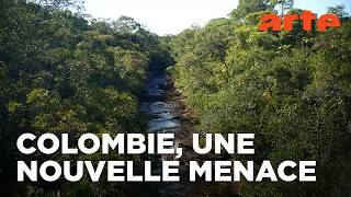 Rivière rouge - Après les Farc