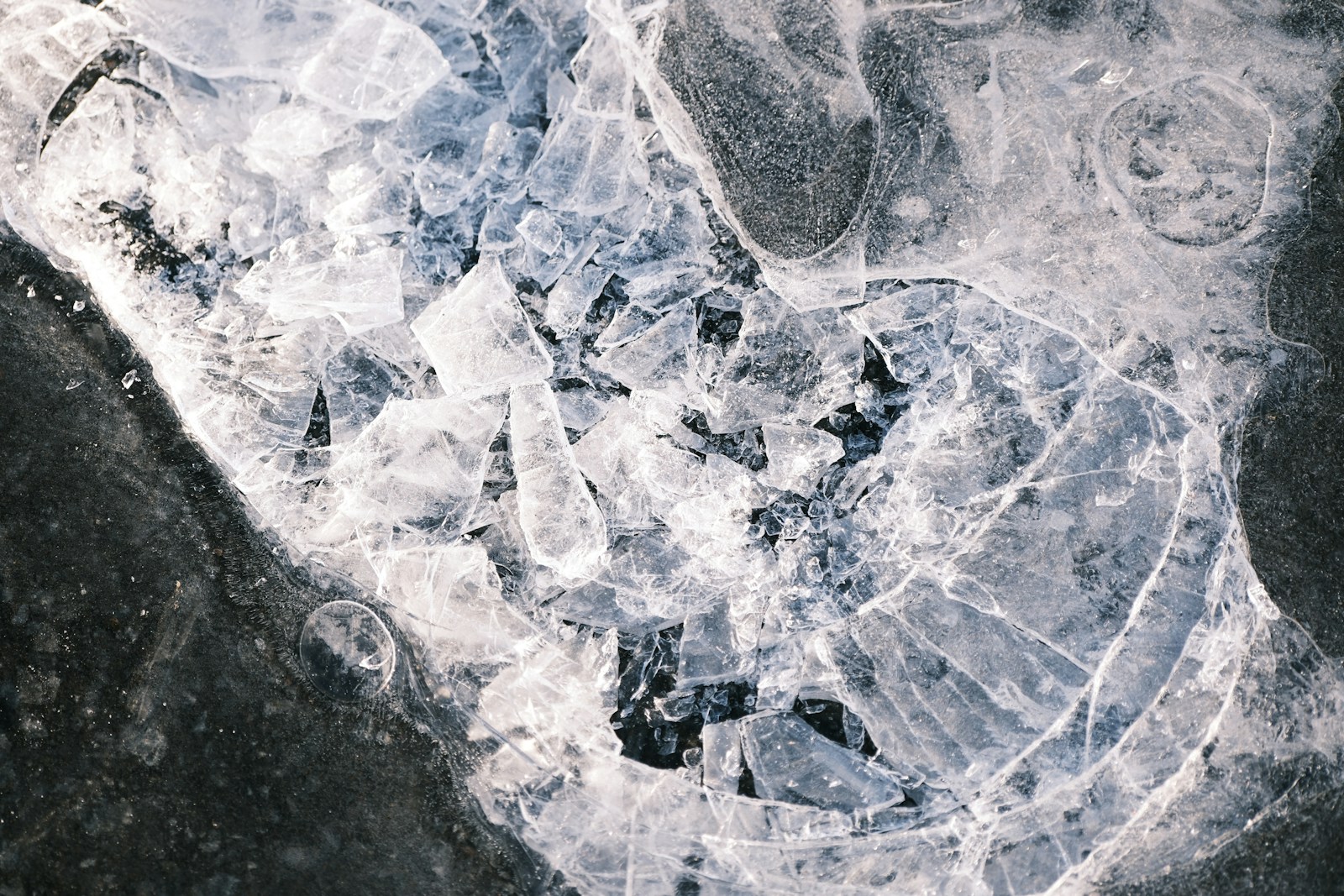 Ce que contient vraiment le pergélisol qui fond